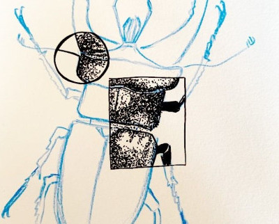 Einfach wieder mal Zeichnen