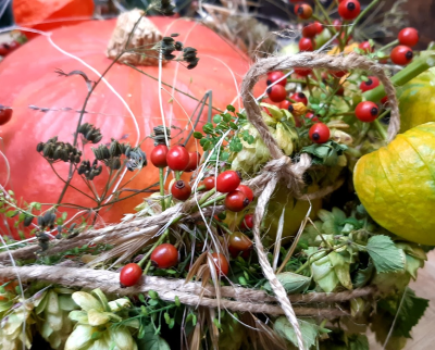 NEU: Willkommen, farbiger Herbst! 